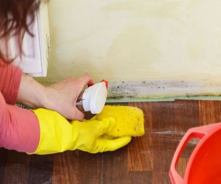 Pensacola MoldExperts