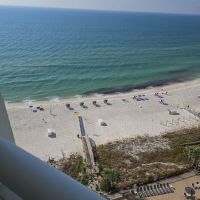 Pensacola Carpet and Tile Cleaning ico