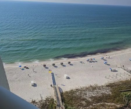 Pensacola Carpet and Tile Cleaning