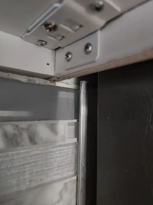 Rapid Response Team Picture 2