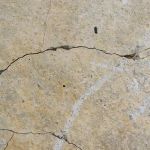 Louisiana Leak Detection