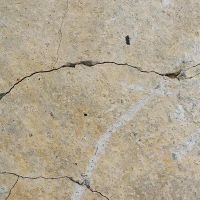 Louisiana Leak Detection ico