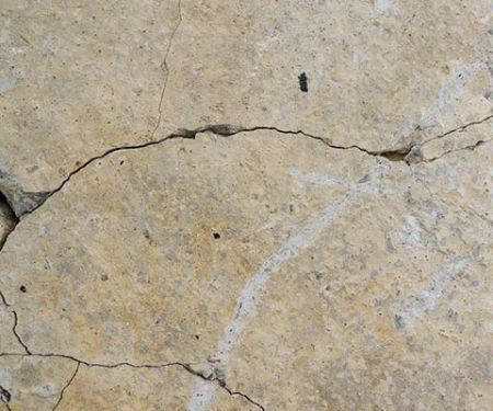 Louisiana Leak Detection