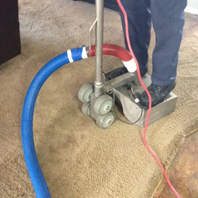 Rainbow International Picture 3