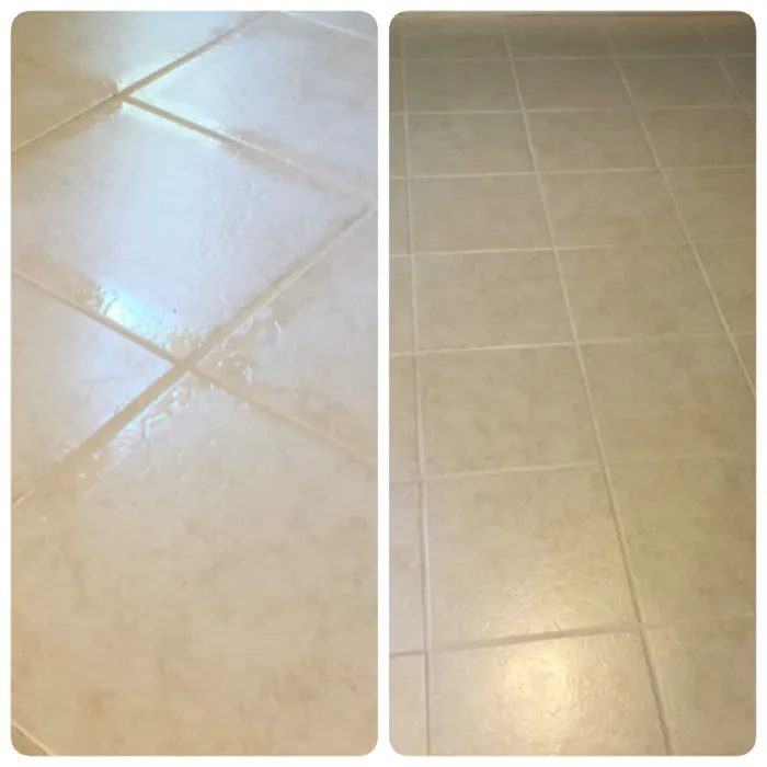 Accutech Carpet and Tile Cleaning Picture 2