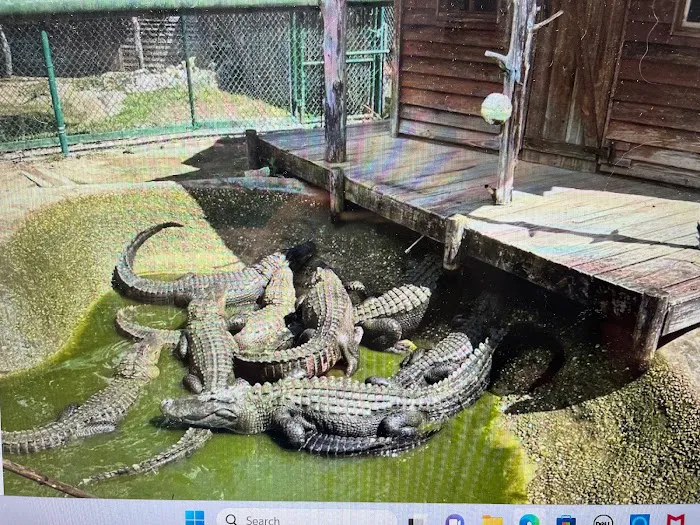 American Leak Detection Picture 5