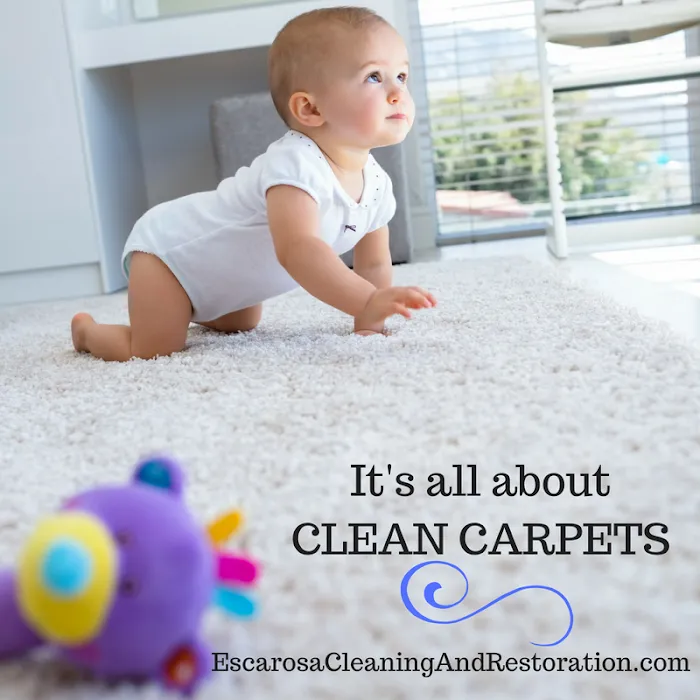 Escarosa Cleaning and Restoration Picture 3