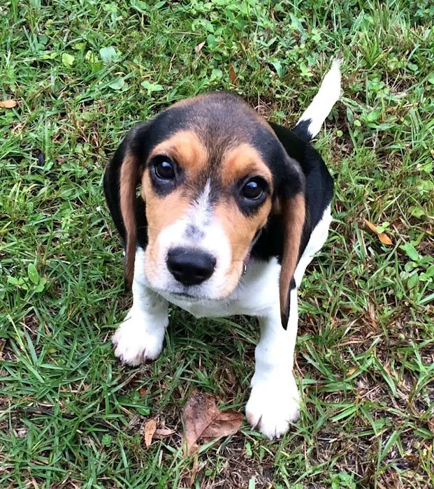 Escarosa Cleaning and Restoration Picture 10