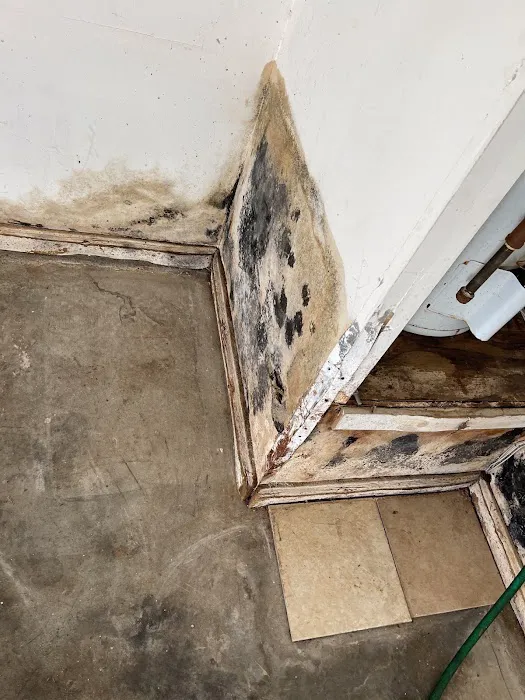 The Remediation Team Picture 7