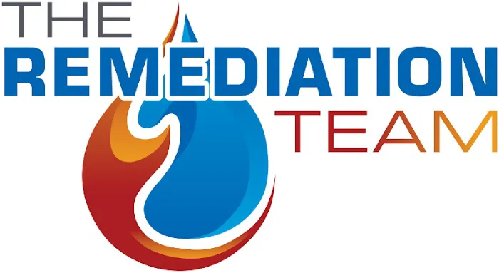 The Remediation Team Picture 2