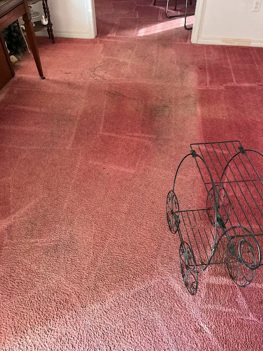 Stanley Steemer Picture 6