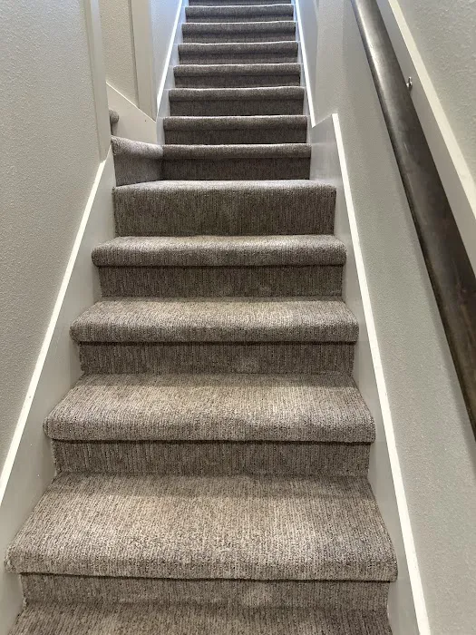 Stanley Steemer Picture 1