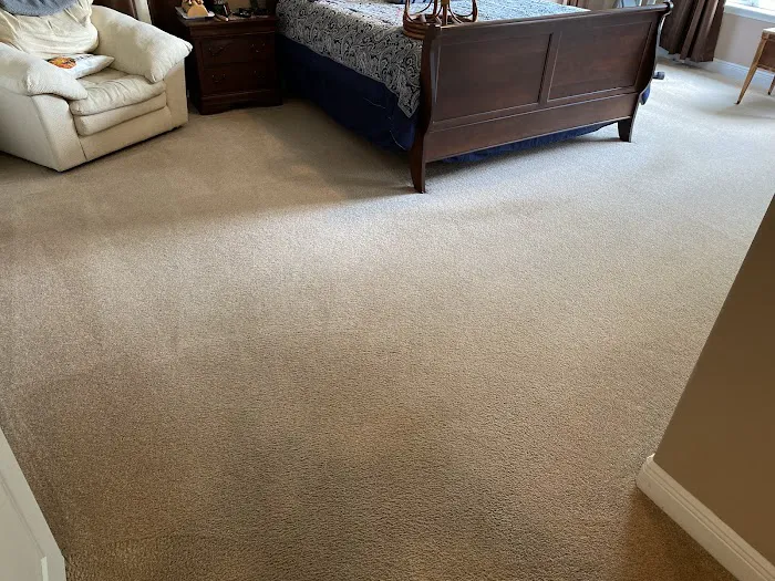 Stanley Steemer Picture 2