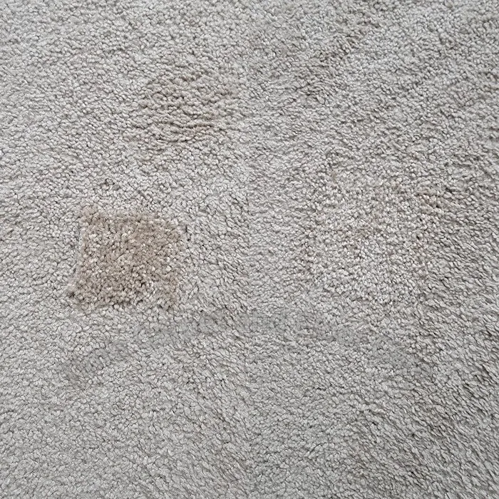 Tim's Carpet and Floor Care LLC Picture 3