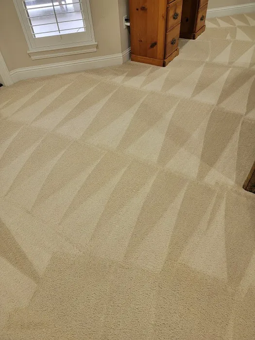 Tim's Carpet and Floor Care LLC Picture 8