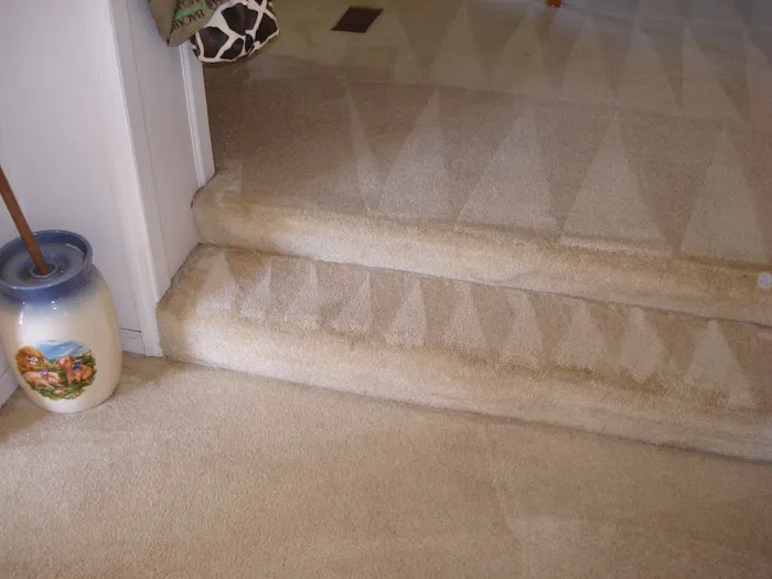 Gulf Coast Carpet Care Picture 7