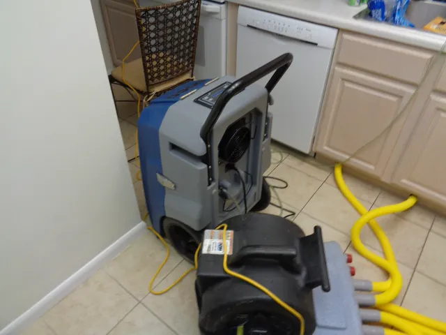 Gulf Coast Carpet Care Picture 1