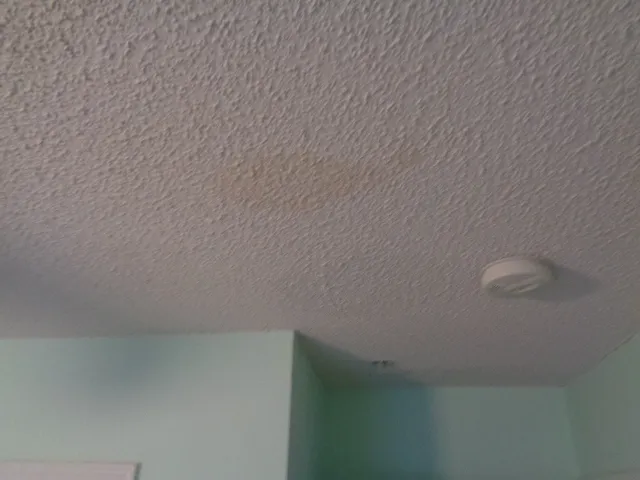 Gulf Coast Carpet Care Picture 3