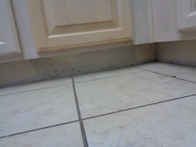 Gulf Coast Carpet Care Picture 10