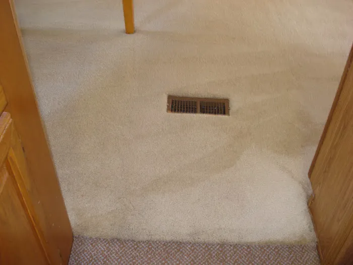 Gulf Coast Carpet Care Picture 5