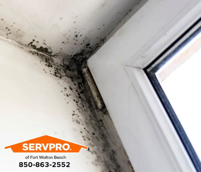 SERVPRO of Fort Walton Beach Picture 8