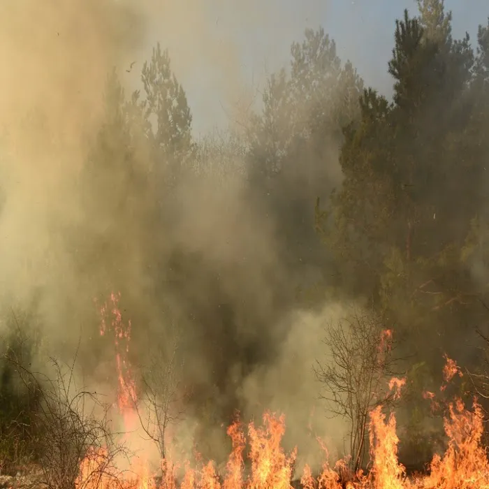 The Emerald Coast Smoke Damage Experts Picture 10