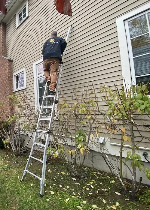 Emerald Coast Xtreme Steam LLC Picture 4