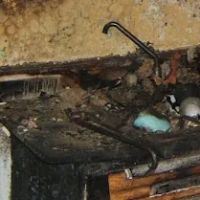 Dri-pro restoration ico