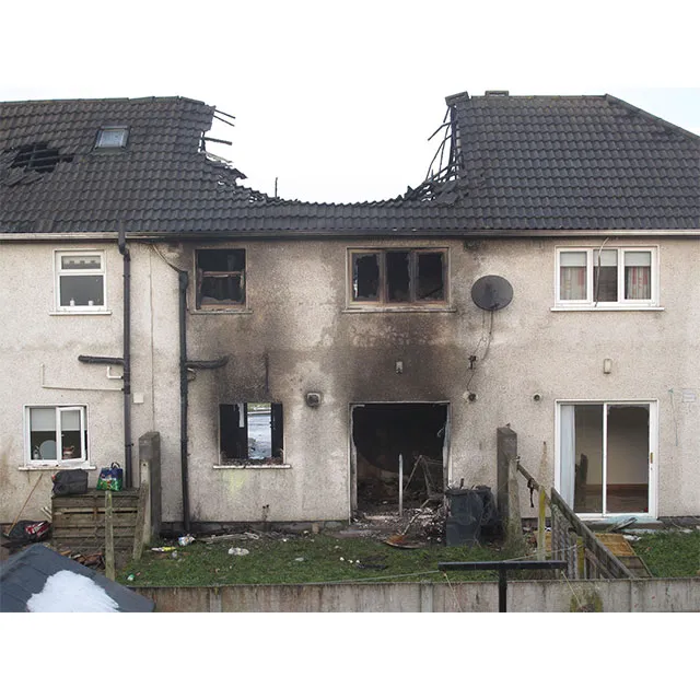 Dri-pro restoration Picture 2