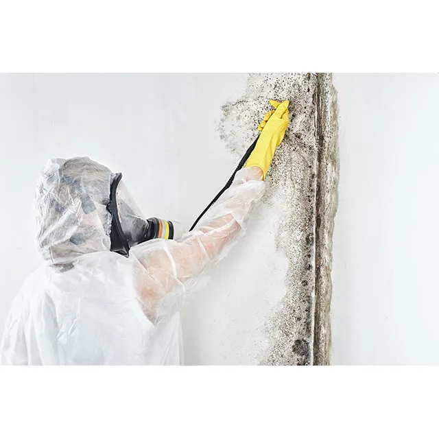 Dri-pro restoration Picture 5