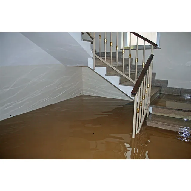 Dri-pro restoration Picture 3