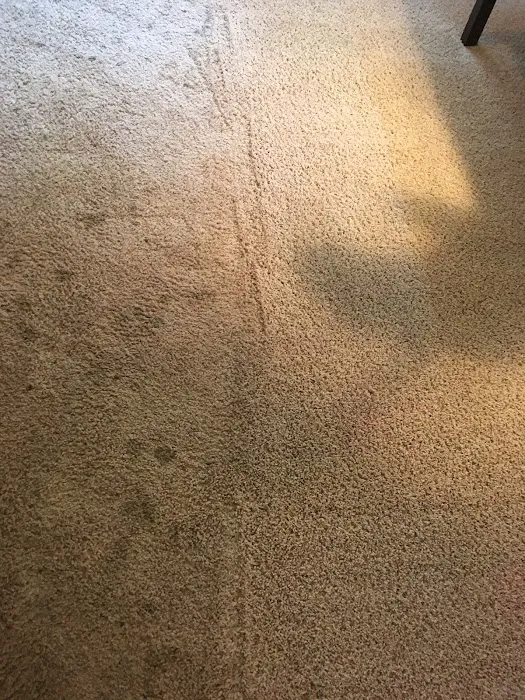 Stanley Steemer Picture 9