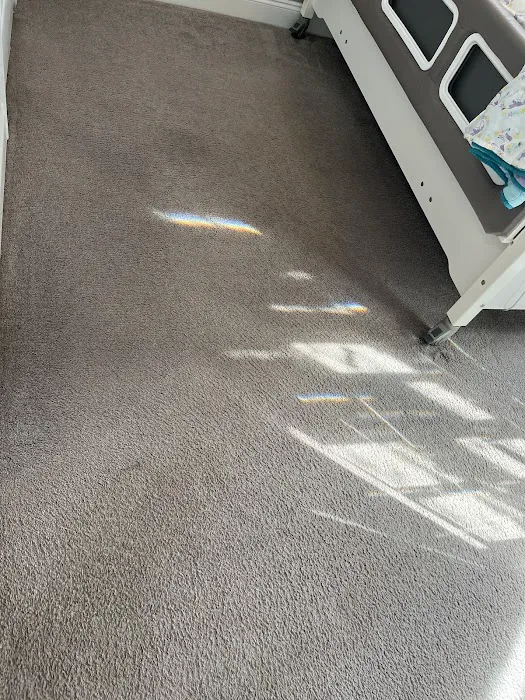 Stanley Steemer Picture 4