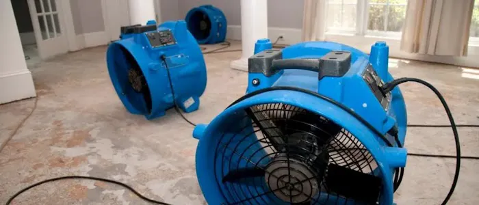 Hamlett & Sons LLC Picture 7