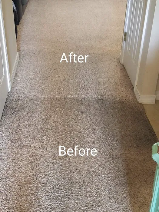 Carpet Cleaning Premier Chem-Dry of NW Florida Picture 4