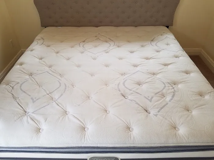 Carpet Cleaning Premier Chem-Dry of NW Florida Picture 10