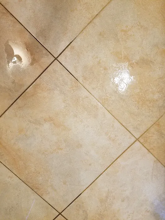 Carpet Cleaning Premier Chem-Dry of NW Florida Picture 1