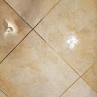 Carpet Cleaning Premier Chem-Dry of NW Florida ico