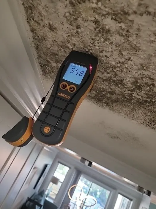 AdvantaClean of The Emerald Coast Picture 7