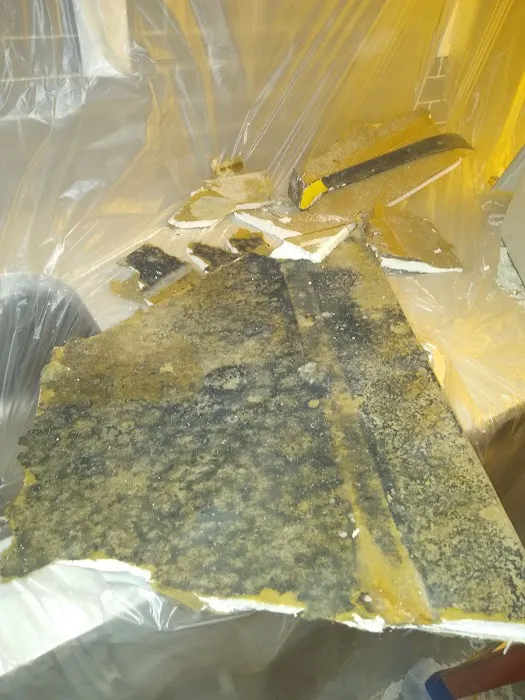 AdvantaClean of The Emerald Coast Picture 2