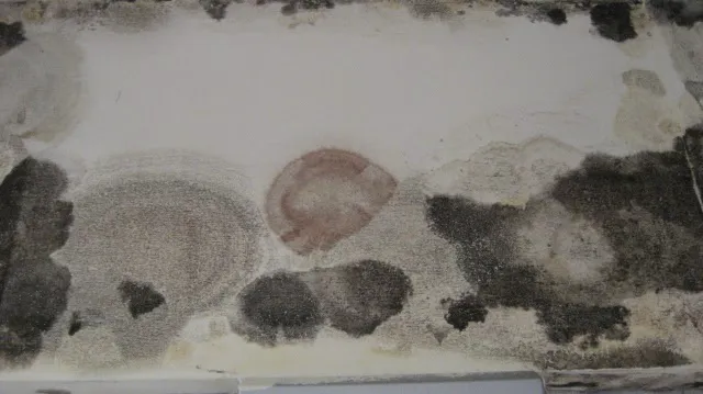 Home-Quality Restorations Picture 1