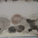 Home-Quality Restorations