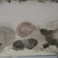 Home-Quality Restorations ico