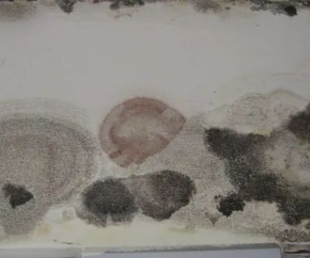 Home-Quality Restorations