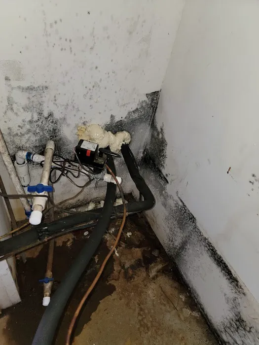 Home-Quality Restorations Picture 3