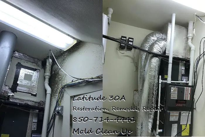 Latitude 30A Restoration, Remodel, Repairs Picture 5