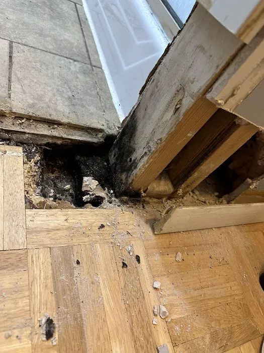 PuroClean of Santa Rosa Beach Picture 10