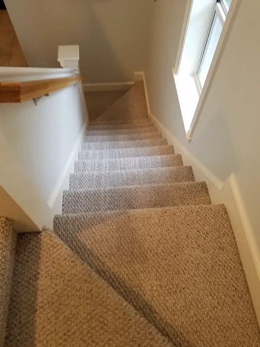 Carpet Cleaning - Premier Chem-Dry of NW Florida Picture 6