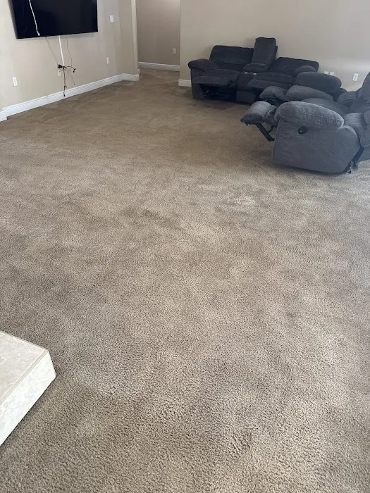 Carpet Cleaning - Premier Chem-Dry of NW Florida Picture 10