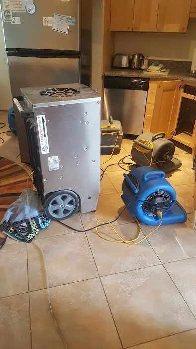 South Walton Carpet Restoration & Total Cleaning Service, LLC Picture 7